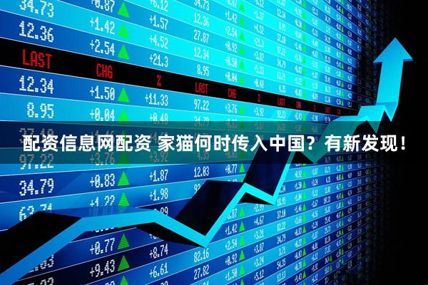 配资信息网配资 家猫何时传入中国？有新发现！