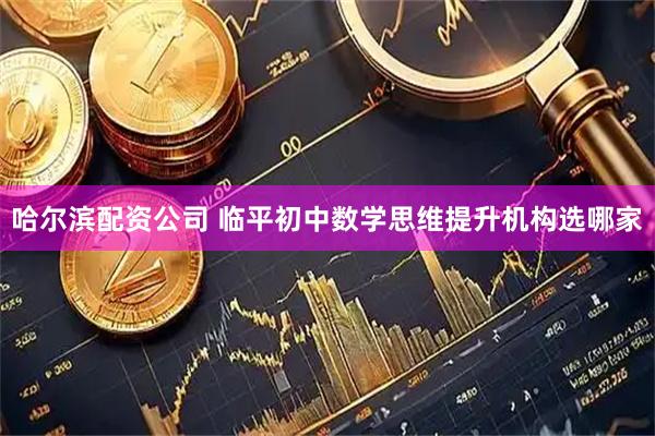 哈尔滨配资公司 临平初中数学思维提升机构选哪家
